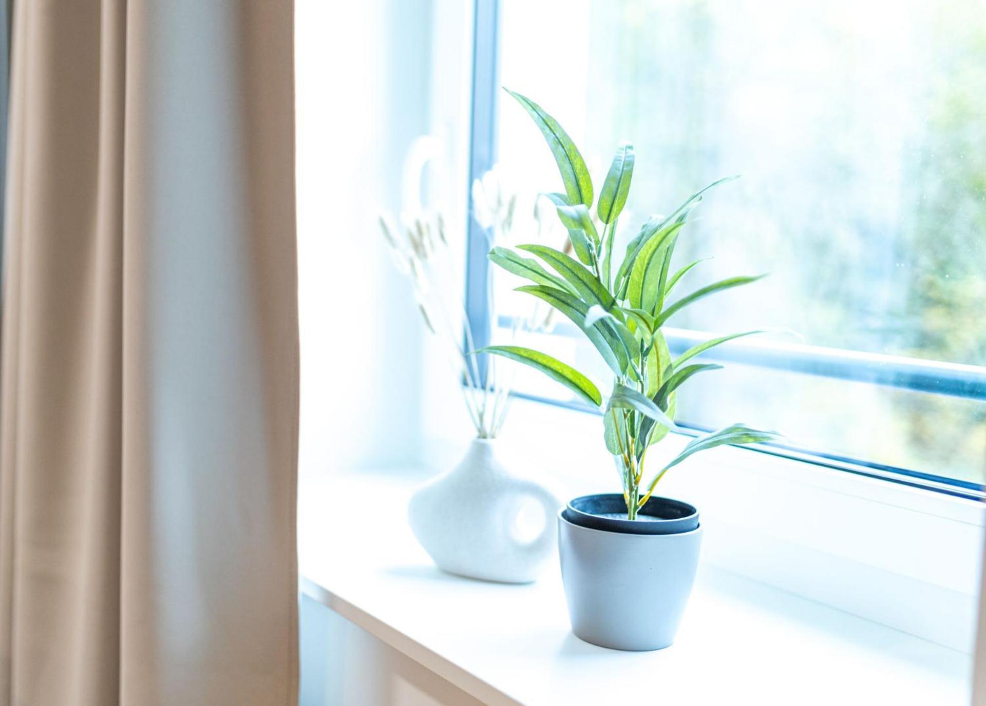 Dwellstay - City Apartments Fulda Rum bild